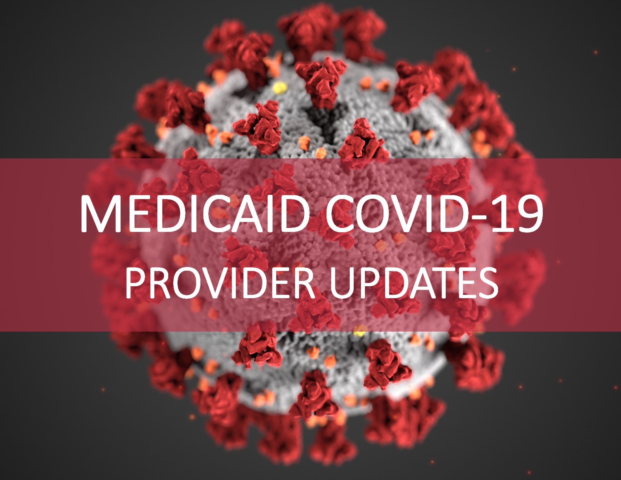 Medicaid COVID-19 Provider Updates crop for home page.jpg