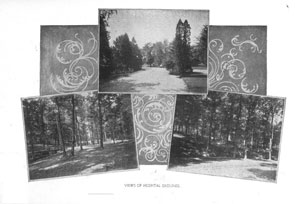 Early Views of the Grounds of Spring Grove